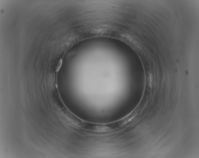 X0000070420605200606231855