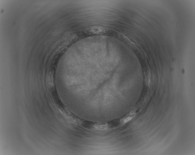 X0000070420606200606231855