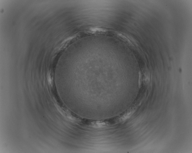 X0000070420607200606231855