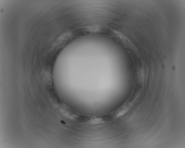 X0000070420609200606231855