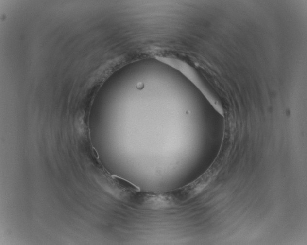 X0000070420611200606231855