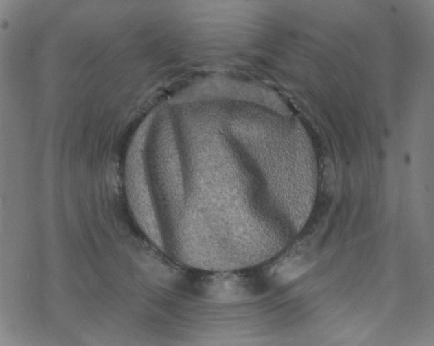 X0000070420612200606231855