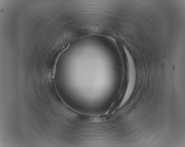 X0000070420613200606231855