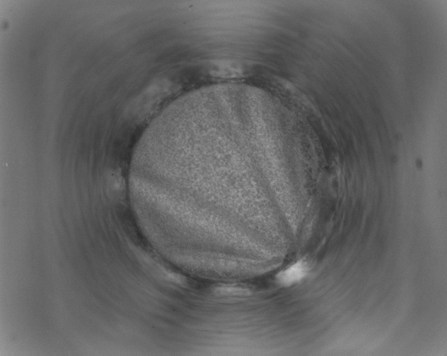 X0000070420614200606231855