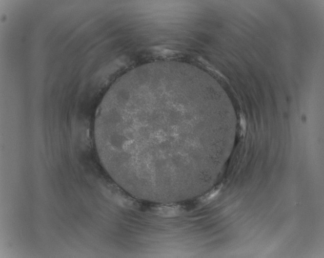 X0000070420615200606231854