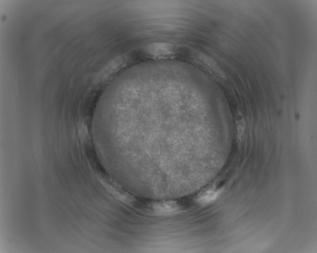 X0000070420618200606231854