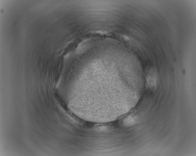 X0000070420620200606231854