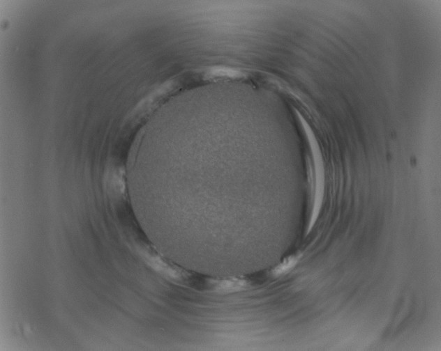 X0000070420621200606231854