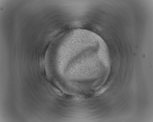 X0000070420624200606231854