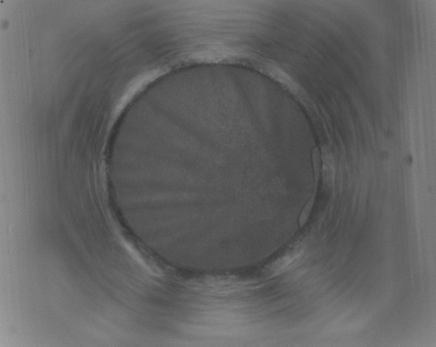 X0000070420626200606231854