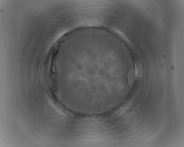 X0000070420627200606231854