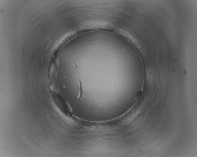 X0000070420629200606231854