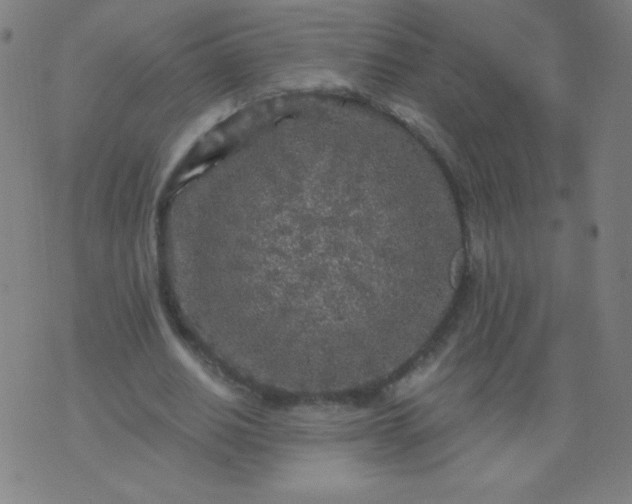 X0000070420630200606231854