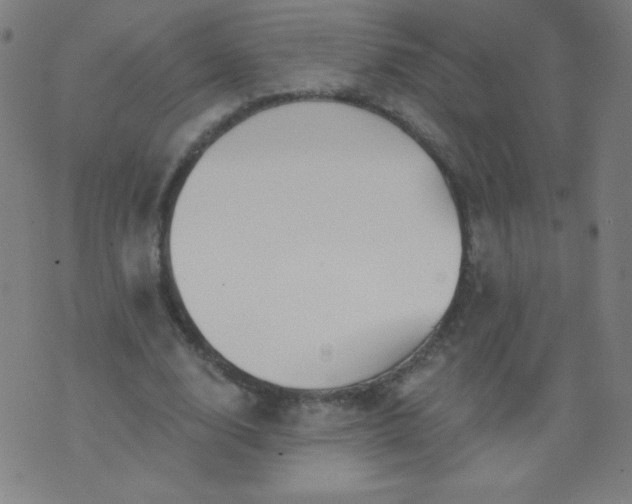 X0000070420632200606231854