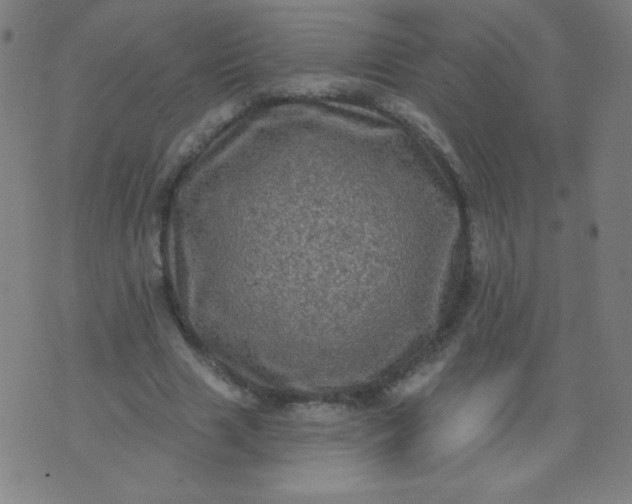 X0000070420633200606231854