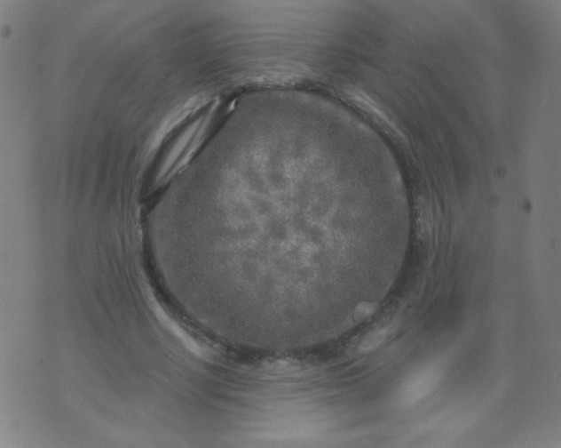 X0000070420634200606231854