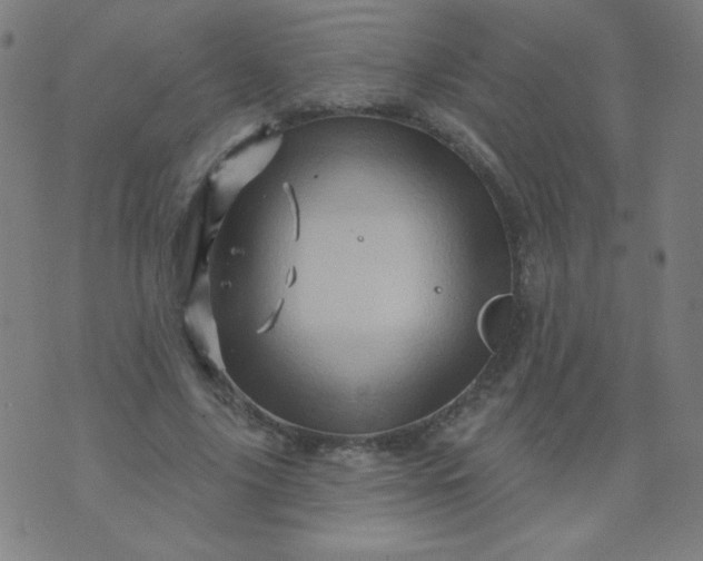 X0000070420635200606231854