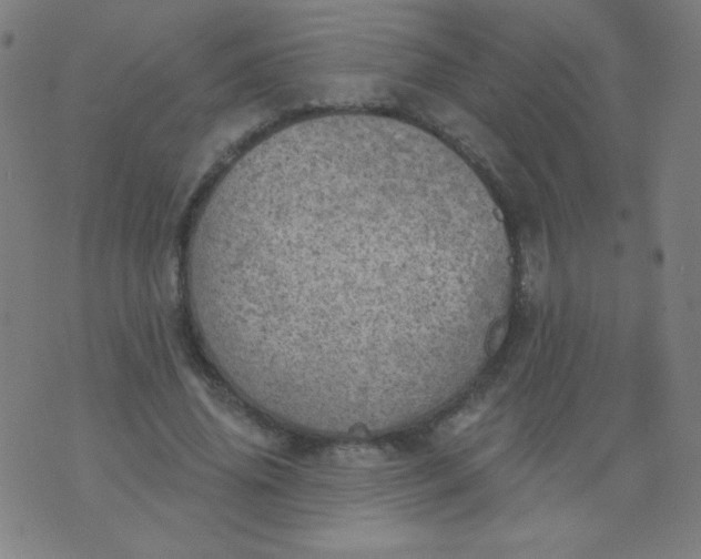 X0000070420636200606231854