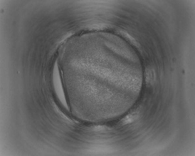 X0000070420637200606231854