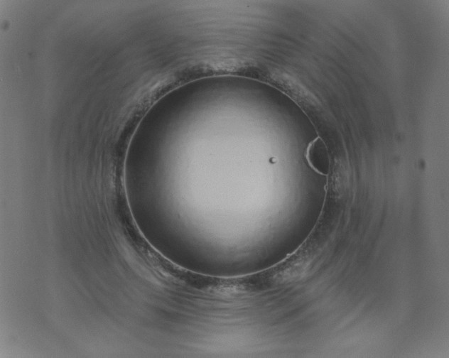 X0000070420639200606231854