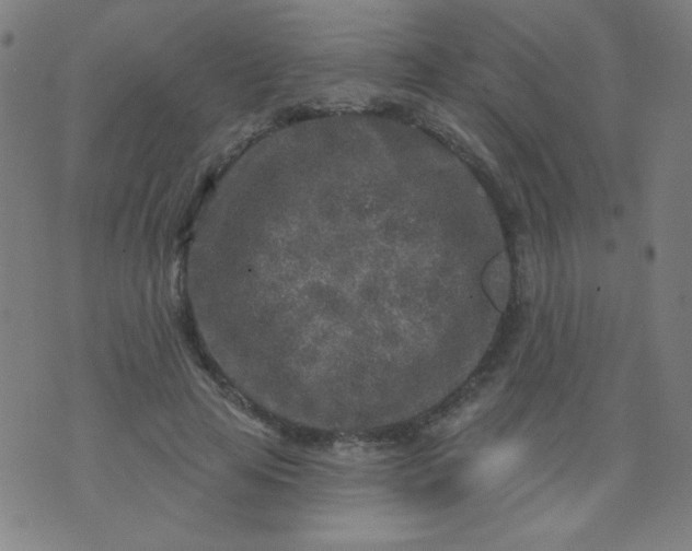 X0000070420641200606231854