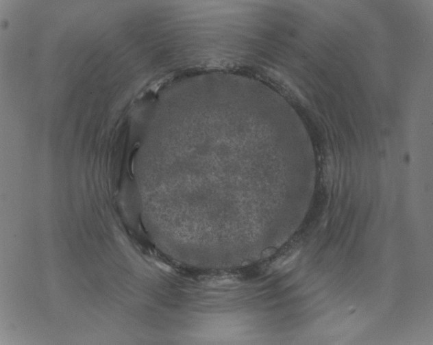 X0000070420643200606231854