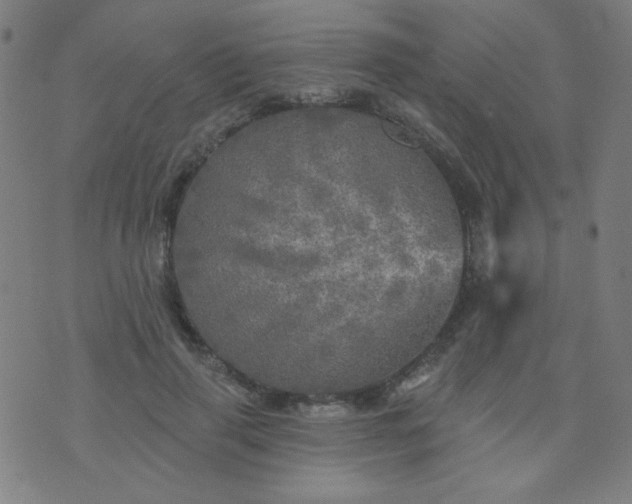 X0000070420645200606231854