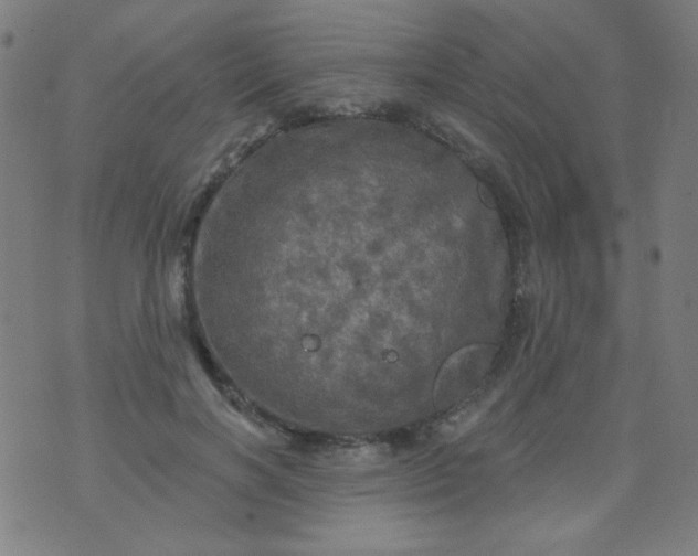 X0000070420646200606231854