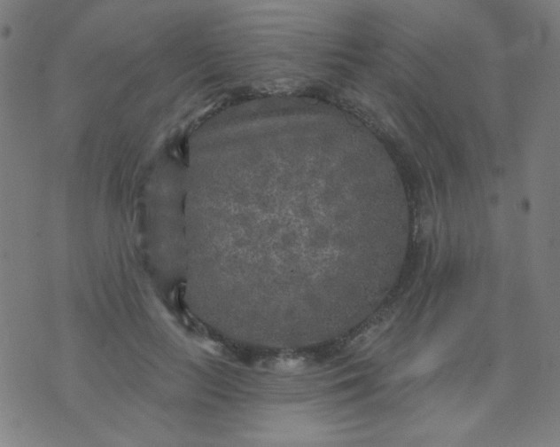 X0000070420647200606231854