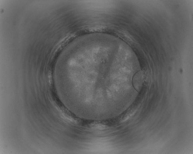 X0000070420648200606231854