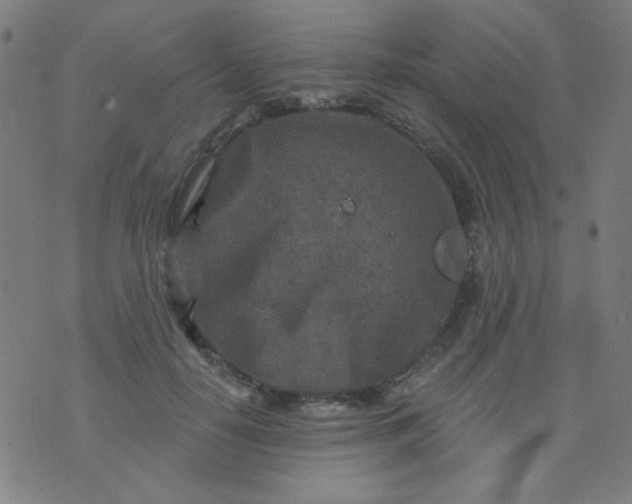 X0000070420650200606231854