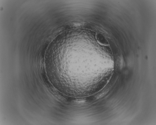 X0000070420651200606231854