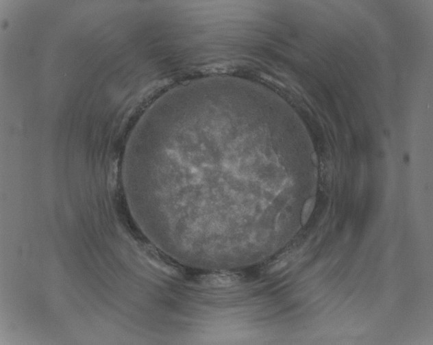 X0000070420652200606231854