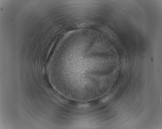 X0000070420653200606231854