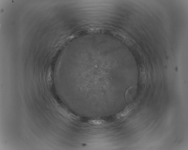 X0000070420654200606231854