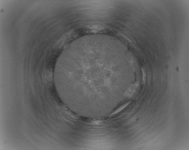 X0000070420657200606231854