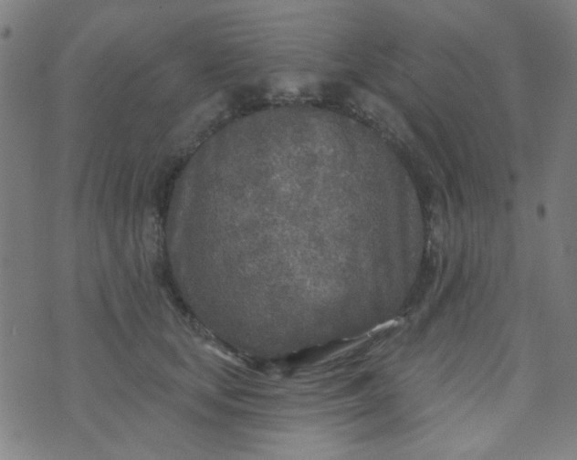 X0000070420659200606231854