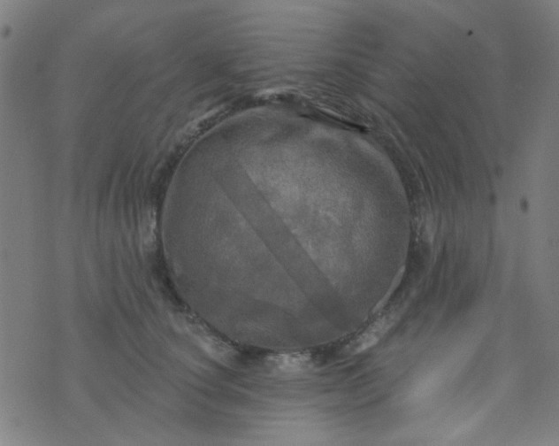 X0000070420660200606231854