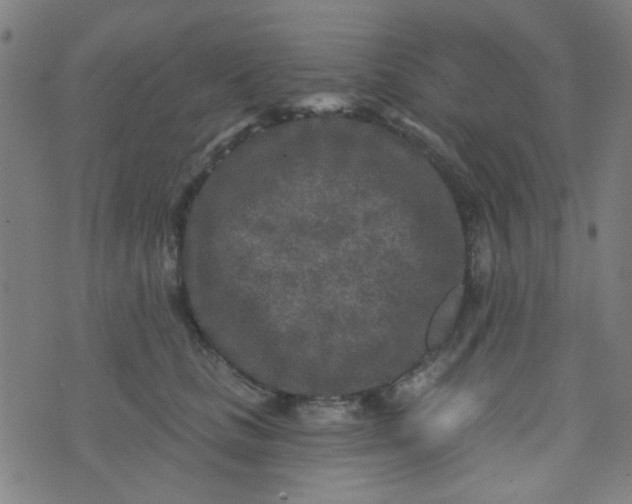 X0000070420661200606231854