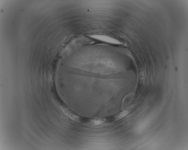 X0000070420662200606231854