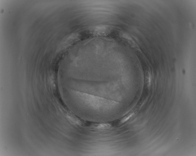 X0000070420663200606231854