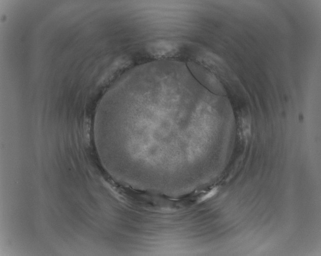 X0000070420664200606231854