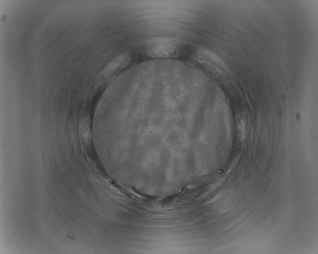 X0000070420665200606231854