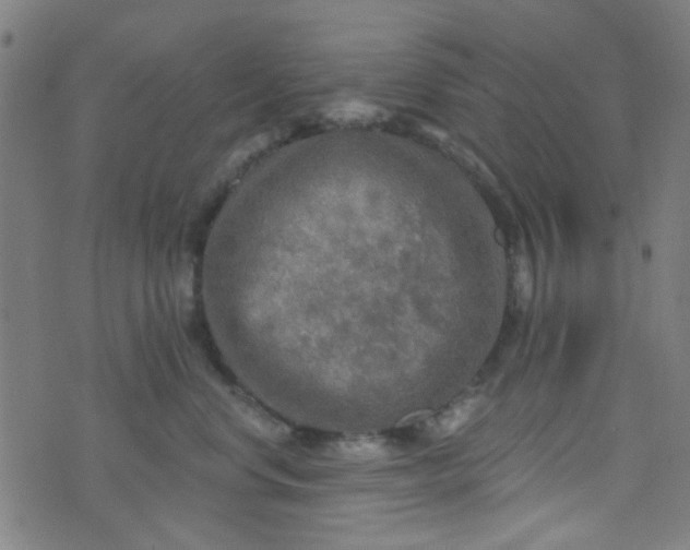 X0000070420668200606231854