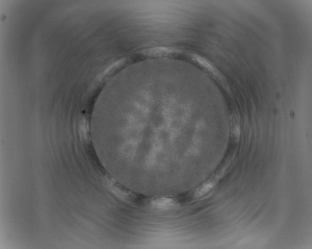 X0000070420669200606231854