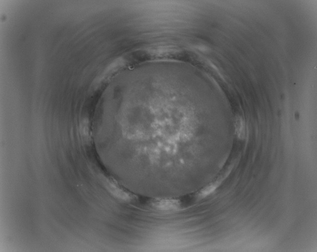 X0000070420670200606231854