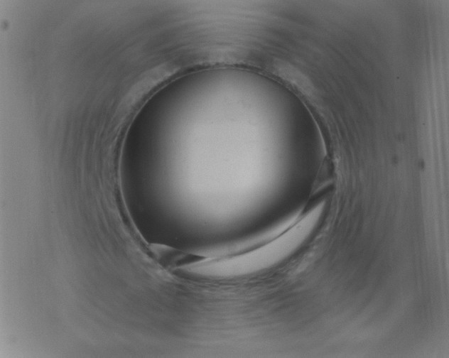 X0000070420673200606231854