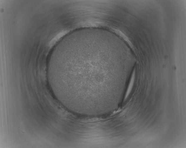 X0000070420675200606231854