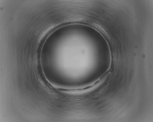 X0000070420676200606231853