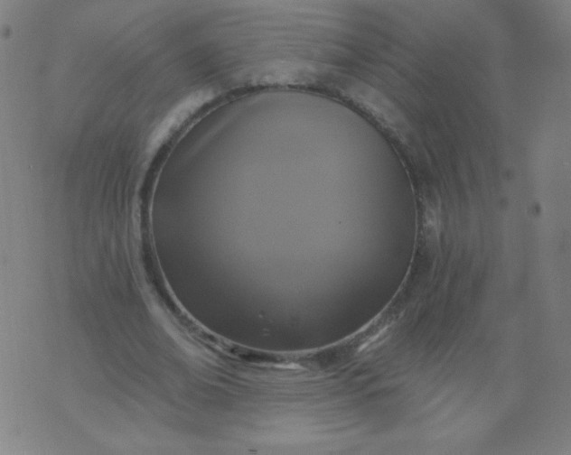 X0000070420678200606231853